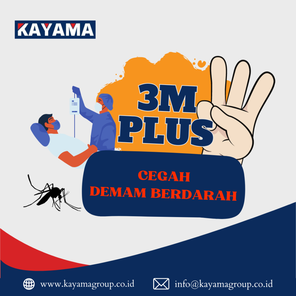 Cegah demam berdarah dengan 3M Plus